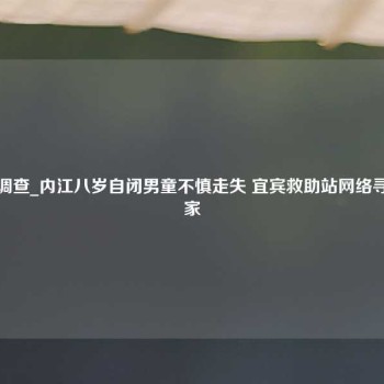 江门商业调查_内江八岁自闭男童不慎走失 宜宾救助站网络寻人助其归家