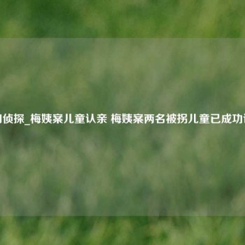 江门侦探_梅姨案儿童认亲 梅姨案两名被拐儿童已成功认亲